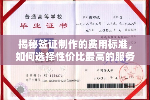 平遥揭秘签证制作的费用标准，如何选择性价比最高的服务？